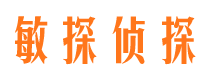 清镇市调查公司